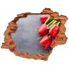 Diera 3D fototapeta nálepka Červené tulipány 90x70 cm Diera 3D fototapeta nálepka Červené tulipány 90x70 cm