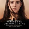 Mychael Danna: Filmmusik: Where The Crawdads Sing Mychael Danna: Filmmusik: Where The Crawdads Sing