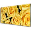 Sklenený obklad Do kuchyne Ruže kvety rastlina 100x50 cm Sklenený obklad Do kuchyne Ruže kvety rastlina 100x50 cm