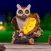 Haushalt international Haushalt international Solárne dekorácie Sovy Haushalt international Haushalt international Solárne dekorácie Sovy