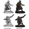 WizKids Pathfinder Deep Cuts Human Male Rogue WizKids Pathfinder Deep Cuts Human Male Rogue