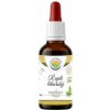 Salvia Paradise Řepík lékařský AF tinktura 50 ml Salvia Paradise Řepík lékařský AF tinktura 50 ml