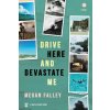 Drive Here and Devastate Me (Megan Falley)(Brožovaná) Drive Here and Devastate Me (Megan Falley)(Brožovaná)