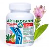 Annabis Arthrocann Kolagen Vitamin Komplex 60 tabliet Annabis Arthrocann Kolagen Vitamin Komplex 60 tabliet