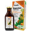 Salus Floradix Magnesium 250 ml Salus Floradix Magnesium 250 ml