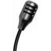 MEZE AUDIO Boom Mic, všesmerový odnímateľný mikrofón MEZE AUDIO Boom Mic, všesmerový odnímateľný mikrofón