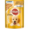 Pedigree Junior s kuracím a ryžou v želé 100 g