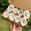 Krištáľová geóda BOX 1kg (8 ks) | Prírodný číry kryštál - výhodné balenie Krištáľová geóda BOX 1kg (8 ks) | Prírodný číry kryštál - výhodné balenie