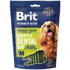 Brit Premium Dog by Nature Dental Snacks M 180 g Brit Premium Dog by Nature Dental Snacks M 180 g