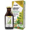 SALUS Floradix Gallexier tekutá forma 1x250 ml SALUS Floradix Gallexier tekutá forma 1x250 ml
