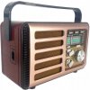 Sieťovo-batériové rádio AM, FM, SW Golon, ružové Sieťovo-batériové rádio AM, FM, SW Golon, ružové