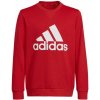 Sweatshirt adidas Big Logo Swt Jr HN1911 (102857) Black 152 cm Sweatshirt adidas Big Logo Swt Jr HN1911 (102857) Black 152 cm