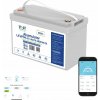 VOLT Polska LiFePO4 BMS 12,8V 100Ah Bluetooth + vyhrievacia podložka