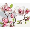 Diamondi Diamantové maľovanie - JARNÁ KVITNÚCA MAGNÓLIA Rámovanie: vypnuté plátno na rám, Rozmer: 40x50 cm Diamondi Diamantové maľovanie - JARNÁ KVITNÚCA MAGNÓLIA Rámovanie: vypnuté plátno na rám, Rozmer: 40x50 cm