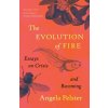 The Evolution of Fire The Evolution of Fire