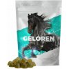 Contipro Geloren HA jablkový kĺbová výživa 450 g Contipro Geloren HA jablkový kĺbová výživa 450 g