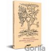 Metafora stromu ako model didaktiky dejepisu - Viliam Kratochvíl Metafora stromu ako model didaktiky dejepisu - Viliam Kratochvíl