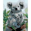 Diamantové maľovanie Diamondi - KOALA S MLÁDATOM, 40x50 cm, bez rámu a bez vypnutia plátna (606052A) Diamantové maľovanie Diamondi - KOALA S MLÁDATOM, 40x50 cm, bez rámu a bez vypnutia plátna (606052A)