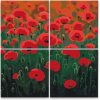 Vymalujsisam.sk Maľovanie podľa čísiel - Maková symfónia (sada 4 plátien) Veľkosť: 4ks 50x50cm, Rám: Na kartónovej doske Vymalujsisam.sk Maľovanie podľa čísiel - Maková symfónia (sada 4 plátien) Veľkosť: 4ks 50x50cm, Rám: Na kartónovej doske
