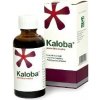 Kaloba gtt.por.1 x 20 ml Kaloba gtt.por.1 x 20 ml
