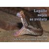 Lapálie nejen se zvířaty aneb To by se zoologovi nikdy nemělo stát - Jaroslav Zelinka Lapálie nejen se zvířaty aneb To by se zoologovi nikdy nemělo stát - Jaroslav Zelinka