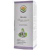Salviaparadise Brahmi bacopa monnieri DS sirup 180 ml Salviaparadise Brahmi bacopa monnieri DS sirup 180 ml