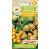 Semená brazílskej hrozienkovej paradajky Toraf 0,2 g Semená brazílskej hrozienkovej paradajky Toraf 0,2 g