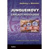 Junqueirovy základy histologie - Anthony L. Mescher Junqueirovy základy histologie - Anthony L. Mescher
