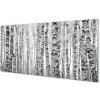 Sklenený obraz Čierna a biela breza 100x50 cm Sklenený obraz Čierna a biela breza 100x50 cm