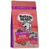 Barking Heads All Hounder Hair Necessities Salmon 2 kg Barking Heads All Hounder Hair Necessities Salmon 2 kg