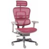 Grospol - Kancelárske kreslo Ergohuman 2 Elite GS Pink Grospol - Kancelárske kreslo Ergohuman 2 Elite GS Pink