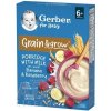 Gerber for Baby Mliečna KAŠA Pšenično-ovsená banán a malina (od ukonč. 6. mesiaca) 1x200 g Gerber for Baby Mliečna KAŠA Pšenično-ovsená banán a malina (od ukonč. 6. mesiaca) 1x200 g