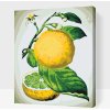 Vymalujsisam.sk Maľovanie podľa čísiel - Čerstvý citrón Veľkosť: 30x40cm, Rám: Bez rámu, iba zrolované plátno Vymalujsisam.sk Maľovanie podľa čísiel - Čerstvý citrón Veľkosť: 30x40cm, Rám: Bez rámu, iba zrolované plátno