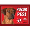 Juko Plastová tabuľa Pozor Pes Rhodéský Ridgeback 21 x 14,7 cm Juko Plastová tabuľa Pozor Pes Rhodéský Ridgeback 21 x 14,7 cm