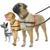 HALTI HARNESS postroj proti ťahaniu S (hrudník 30-60cm) - S HALTI HARNESS postroj proti ťahaniu S (hrudník 30-60cm) - S