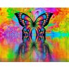 Amparo Miranda® Diamantový obrázok Dúhový motýľ Amparo Miranda® Diamantový obrázok Dúhový motýľ