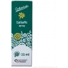 Ľaliafit spray na nohy 25 ml Ľaliafit spray na nohy 25 ml