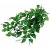 Lucky Reptile Jungle Plants - Philo cca 50 cm Lucky Reptile Jungle Plants - Philo cca 50 cm