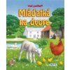 Mláďatká na dvore - Daniela Reichstädterová Mláďatká na dvore - Daniela Reichstädterová