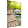 Vertikálny foto obraz sklenený Chodník v lese 50x100 cm Vertikálny foto obraz sklenený Chodník v lese 50x100 cm