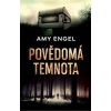 Povědomá temnota - Amy Engel Povědomá temnota - Amy Engel