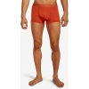 Icebreaker Merino 125 Cool-Lite Anatomica Trunks agate