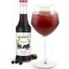 Monin sirup čierny rybíz 250 ml