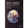 Big Data Big Data