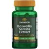 swanson Výťažok boswellia serrata 60 vegetariánskych kapsúl