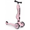 Scoot&Ride Highwaykick1 Kolobežka 2v1 pre deti od 1-5 rokov - Ružová Scoot&Ride Highwaykick1 Kolobežka 2v1 pre deti od 1-5 rokov - Ružová