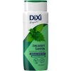 DiXi Žihľavový šampón 400 ml, žihľavový DiXi Žihľavový šampón 400 ml, žihľavový
