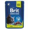 Brit Premium Cat kapsa Lamb for Sterilised 100 g Brit Premium Cat kapsa Lamb for Sterilised 100 g