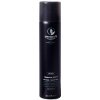 Paul Mitchell Awapuchi Wild Ginger Finishing Spray 300 ml