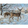 Cobble Hill Jelen se srnami v zimě 500 dielov